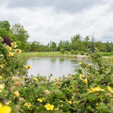 Voeroes Kastely Pensiune Kunbaracs