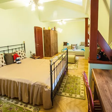 Pensiune Voeroes Kastely *