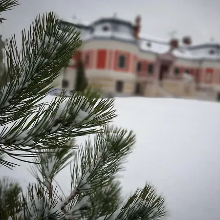 Voeroes Kastely Pensiune *