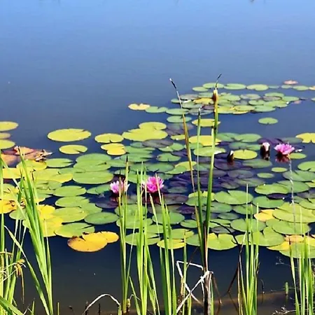 Voeroes Kastely * Kunbaracs